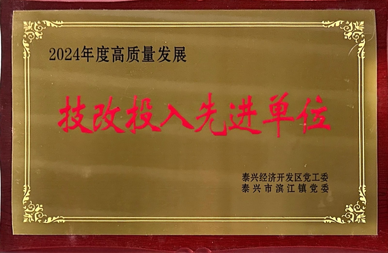 技改投入先进单位.jpg